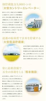 つや姫 20kg 山形県産　令和6年産　2月精米　JAてんどうフーズ新品未開封 つや姫 令和7年産 新米 予約受付中 山形県産 つや姫2キロ 雪若丸